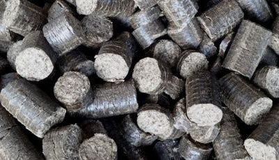 Clean “Biocoal” From Hibiscus Cannabinus & Hemp Helps Reduce GHG Emissions